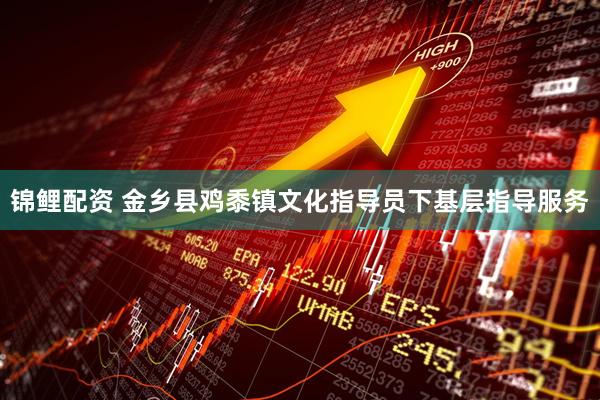锦鲤配资 金乡县鸡黍镇文化指导员下基层指导服务