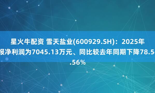 星火牛配资 雪天盐业(600929.SH)：2025年中报净利润为7045.13万元、同比较去年同期下降78.56%