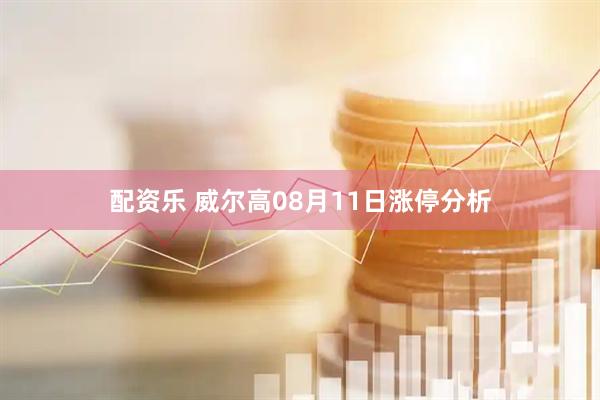 配资乐 威尔高08月11日涨停分析