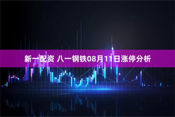 新一配资 八一钢铁08月11日涨停分析